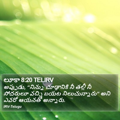 లూకా 8:20 TELIRV Bible Verse Image