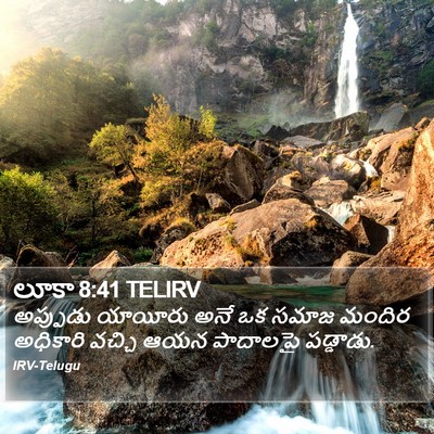 లూకా 8:41 TELIRV Bible Verse Image