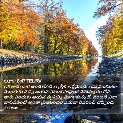లూకా 8:47 TELIRV Bible Verse Image