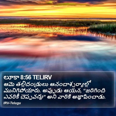 లూకా 8:56 TELIRV Bible Verse Image