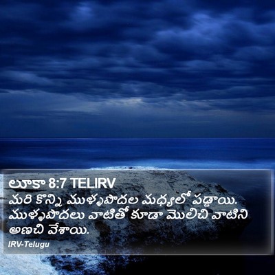 లూకా 8:7 TELIRV Bible Verse Image