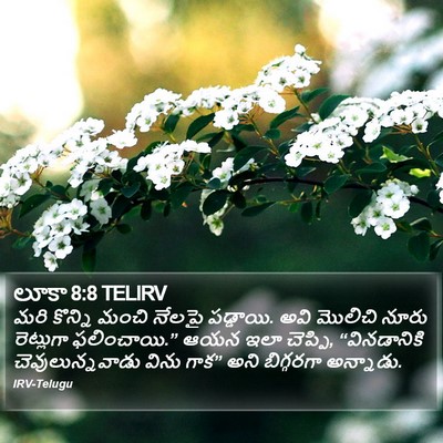 లూకా 8:8 TELIRV Bible Verse Image