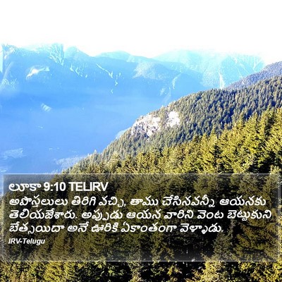 లూకా 9:10 TELIRV Bible Verse Image