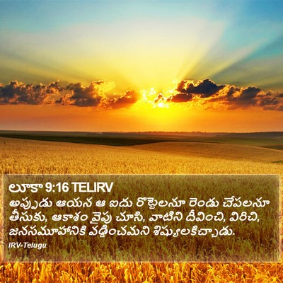 లూకా 9:16 TELIRV Bible Verse Image