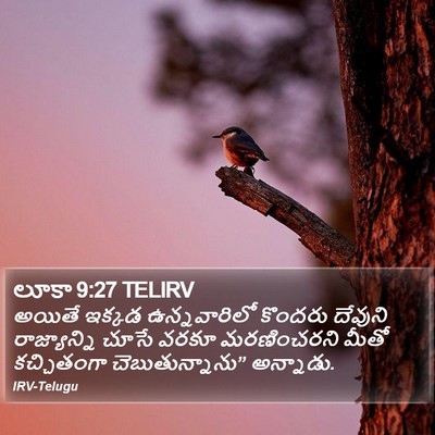 లూకా 9:27 TELIRV Bible Verse Image