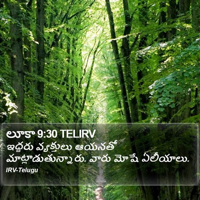 లూకా 9:30 TELIRV Bible Verse Image