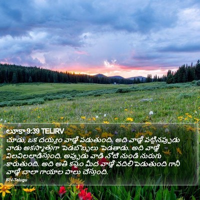 లూకా 9:39 TELIRV Bible Verse Image