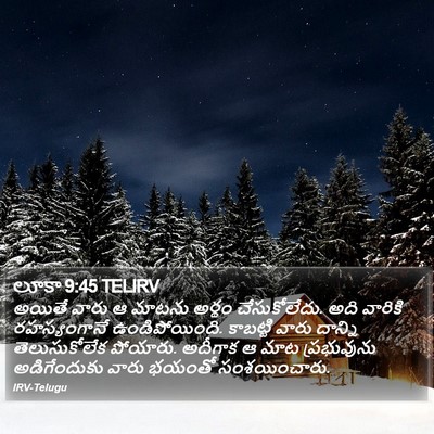 లూకా 9:45 TELIRV Bible Verse Image