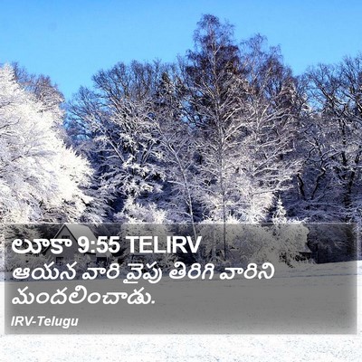 లూకా 9:55 TELIRV Bible Verse Image