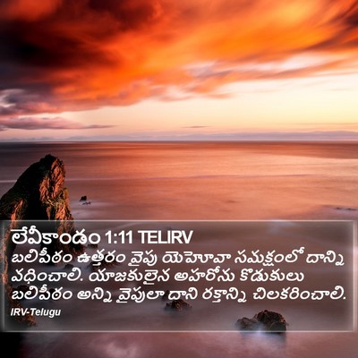 లేవీకాండం 1:11 TELIRV Bible Verse Image