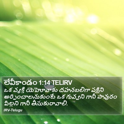 లేవీకాండం 1:14 TELIRV Bible Verse Image