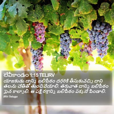 లేవీకాండం 1:15 TELIRV Bible Verse Image