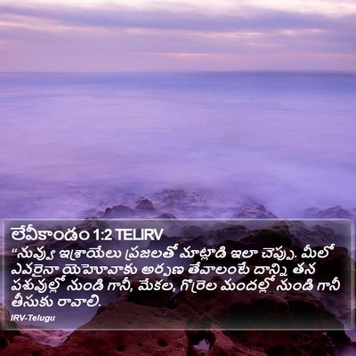 లేవీకాండం 1:2 TELIRV Bible Verse Image