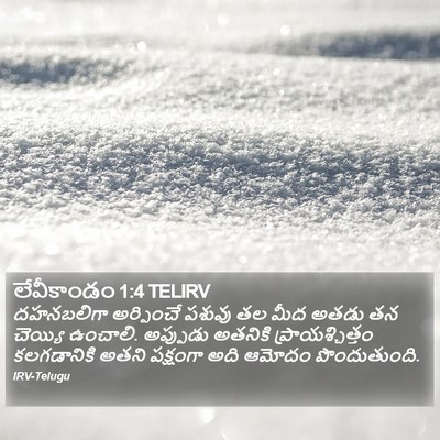 లేవీకాండం 1:4 TELIRV Bible Verse Image