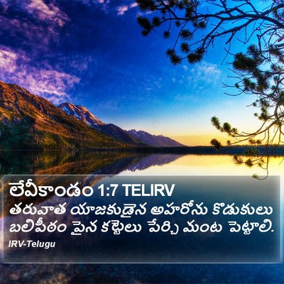 లేవీకాండం 1:7 TELIRV Bible Verse Image