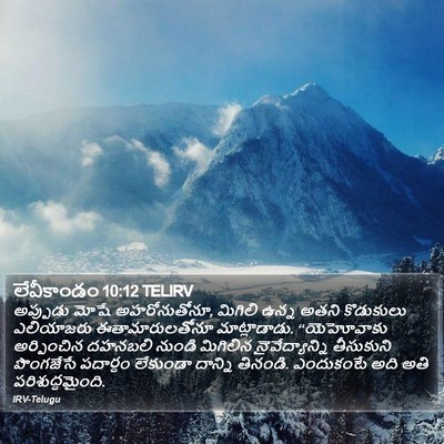 లేవీకాండం 10:12 TELIRV Bible Verse Image