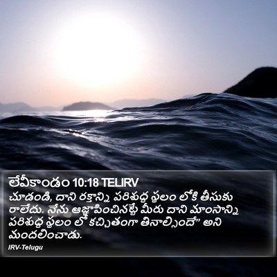 లేవీకాండం 10:18 TELIRV Bible Verse Image