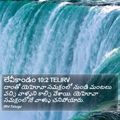 లేవీకాండం 10:2 TELIRV Bible Verse Image