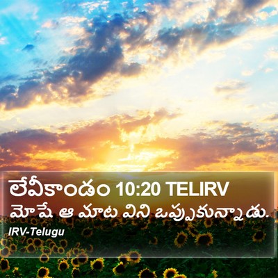 లేవీకాండం 10:20 TELIRV Bible Verse Image