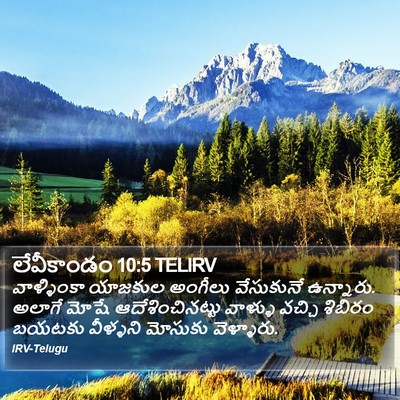 లేవీకాండం 10:5 TELIRV Bible Verse Image