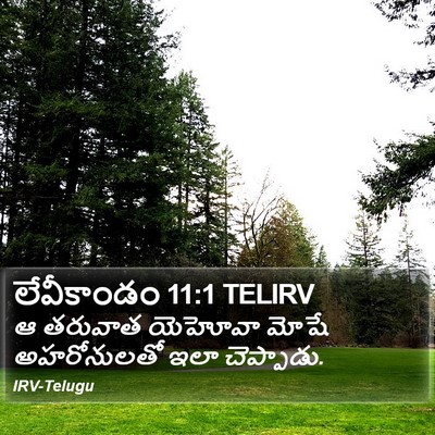 లేవీకాండం 11:1 TELIRV Bible Verse Image