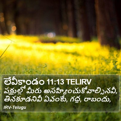 లేవీకాండం 11:13 TELIRV Bible Verse Image