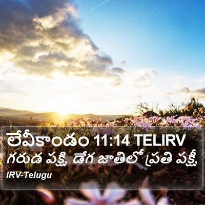 లేవీకాండం 11:14 TELIRV Bible Verse Image