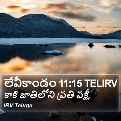లేవీకాండం 11:15 TELIRV Bible Verse Image