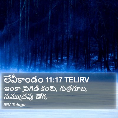 లేవీకాండం 11:17 TELIRV Bible Verse Image
