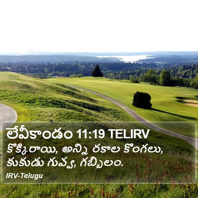 లేవీకాండం 11:19 TELIRV Bible Verse Image