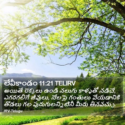 లేవీకాండం 11:21 TELIRV Bible Verse Image