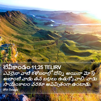 లేవీకాండం 11:25 TELIRV Bible Verse Image