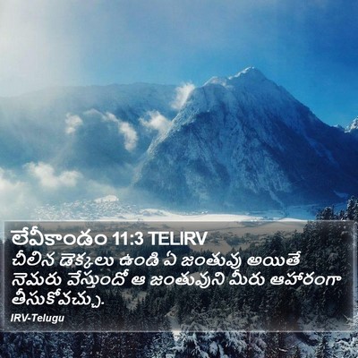 లేవీకాండం 11:3 TELIRV Bible Verse Image