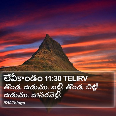 లేవీకాండం 11:30 TELIRV Bible Verse Image