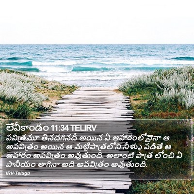 లేవీకాండం 11:34 TELIRV Bible Verse Image