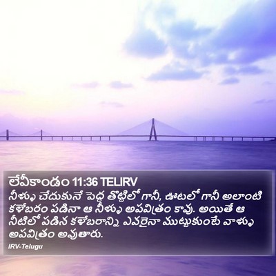 లేవీకాండం 11:36 TELIRV Bible Verse Image
