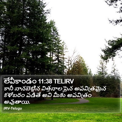 లేవీకాండం 11:38 TELIRV Bible Verse Image