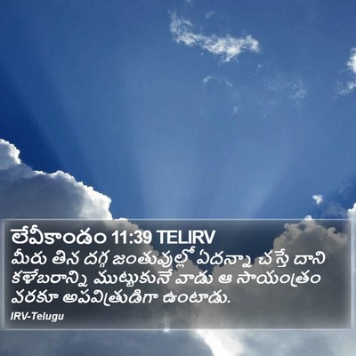 లేవీకాండం 11:39 TELIRV Bible Verse Image
