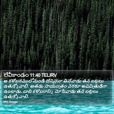 లేవీకాండం 11:40 TELIRV Bible Verse Image