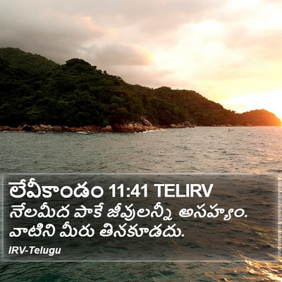 లేవీకాండం 11:41 TELIRV Bible Verse Image