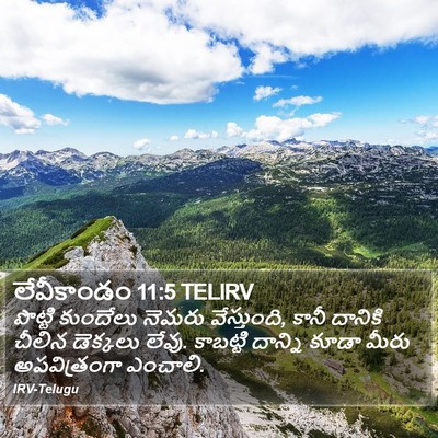 లేవీకాండం 11:5 TELIRV Bible Verse Image