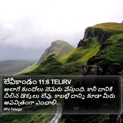 లేవీకాండం 11:6 TELIRV Bible Verse Image