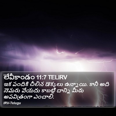 లేవీకాండం 11:7 TELIRV Bible Verse Image