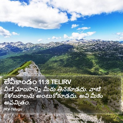 లేవీకాండం 11:8 TELIRV Bible Verse Image