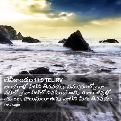 లేవీకాండం 11:9 TELIRV Bible Verse Image