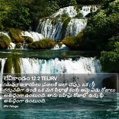 లేవీకాండం 12:2 TELIRV Bible Verse Image