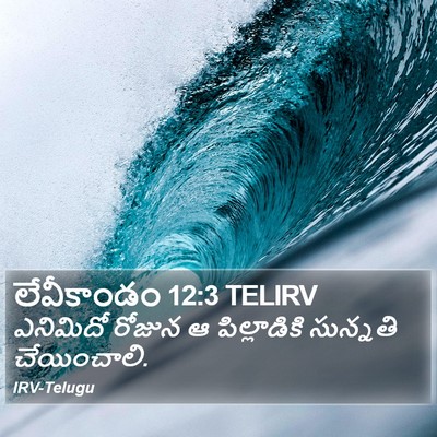 లేవీకాండం 12:3 TELIRV Bible Verse Image