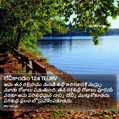 లేవీకాండం 12:4 TELIRV Bible Verse Image