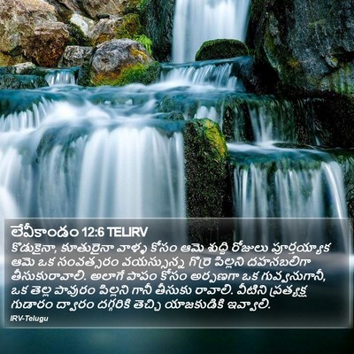 లేవీకాండం 12:6 TELIRV Bible Verse Image