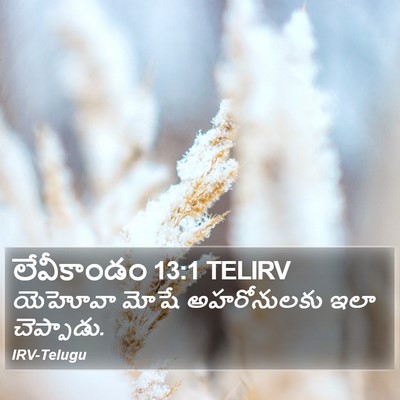 లేవీకాండం 13:1 TELIRV Bible Verse Image